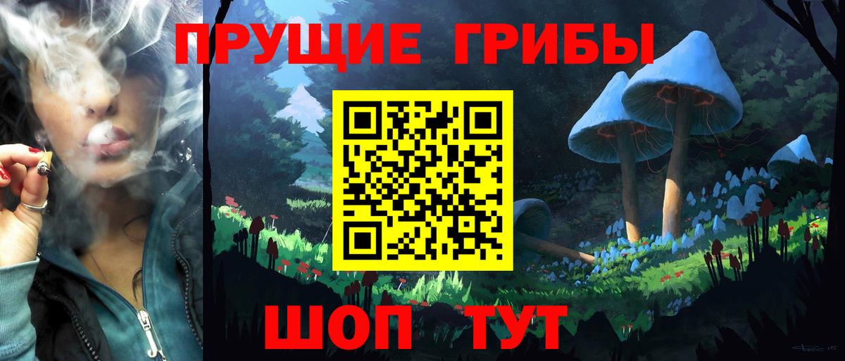 Кингисепп  Псилоцибиновые грибы мицелий  магазин продажи   Вход с VPN 